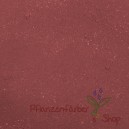 Blauholzextrakt / Campechianum Lignum Extractum 10g