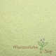 Tarapulver / Caesalpinia spinosa fructus 100g